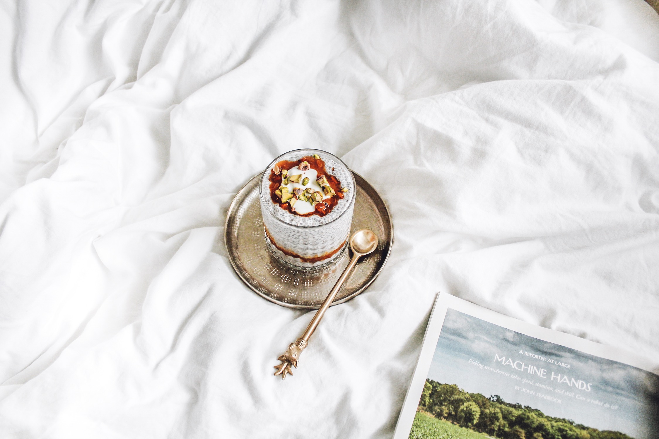 Chia sėklų pudingas su šaltalankių uogiene