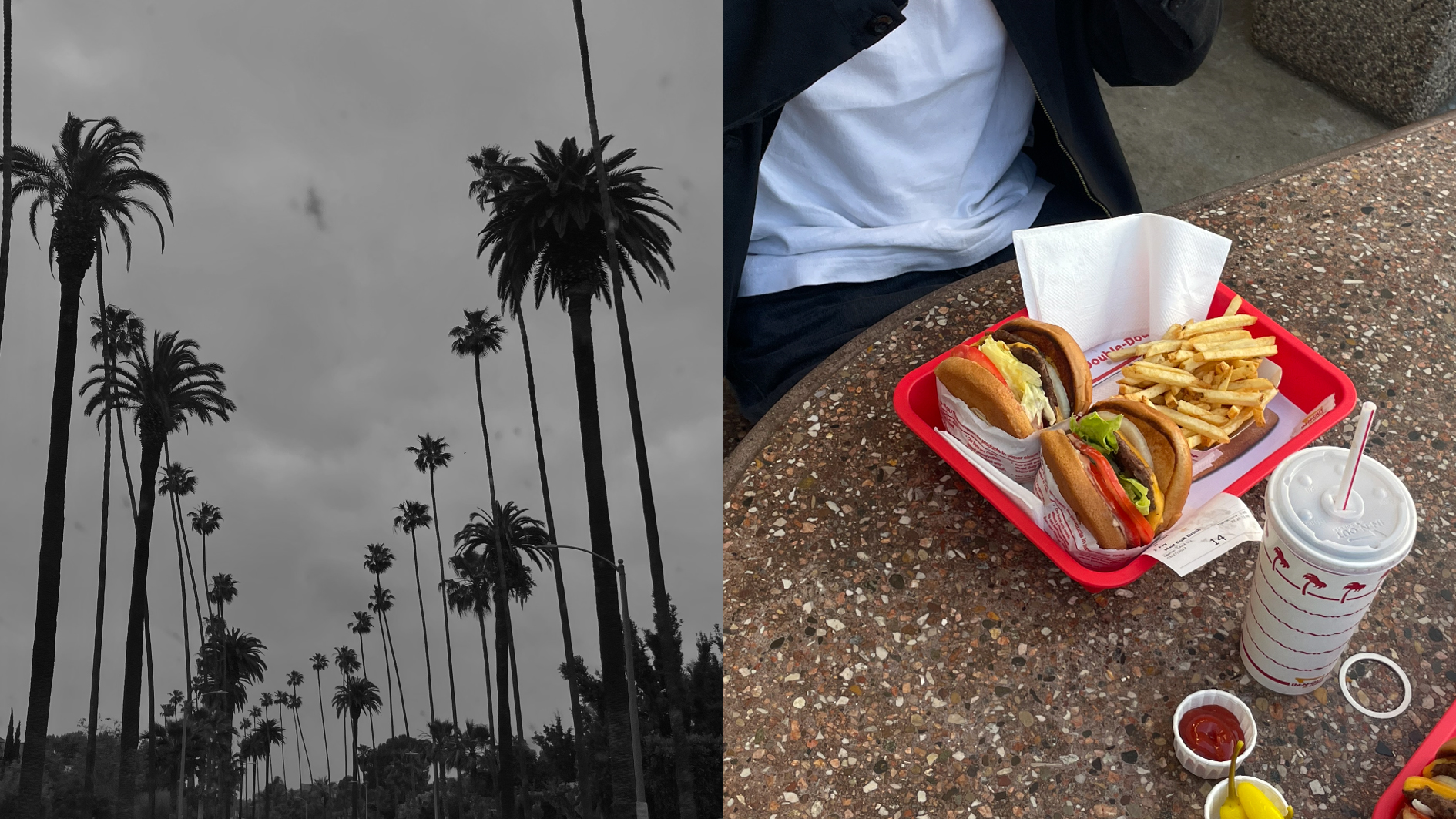 JAV: nuo Niujorko iki San Francisko